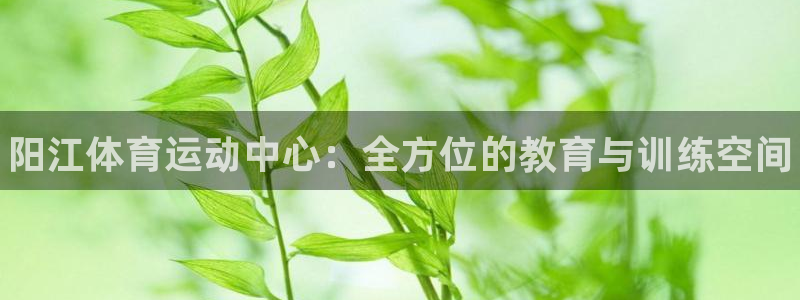 球速体育：阳江体育运动中心：全方位的教育与训练空间