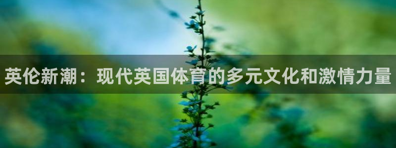 球速体育：英伦新潮：现代英国体育的多元文化和激情力量