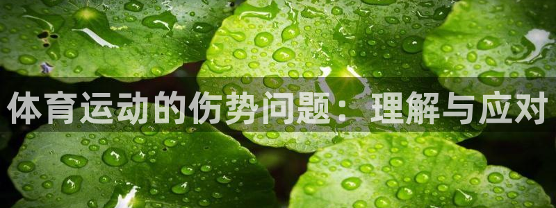 球速体育：体育运动的伤势问题：理解与应对