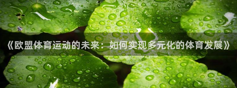 球速体育：《欧盟体育运动的未来：如何实现多元化的体育发展》