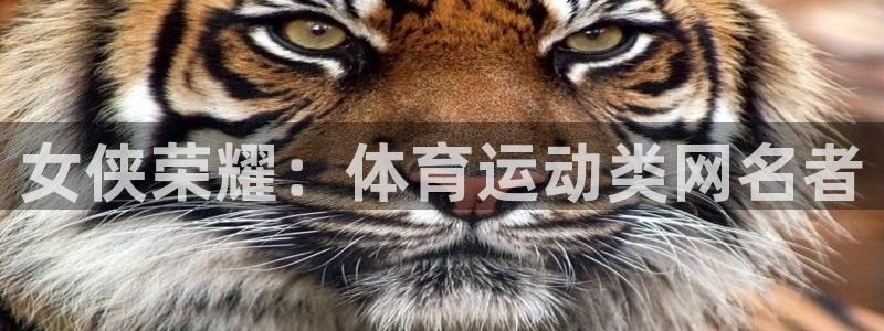 球速体育：女侠荣耀：体育运动类网名者
