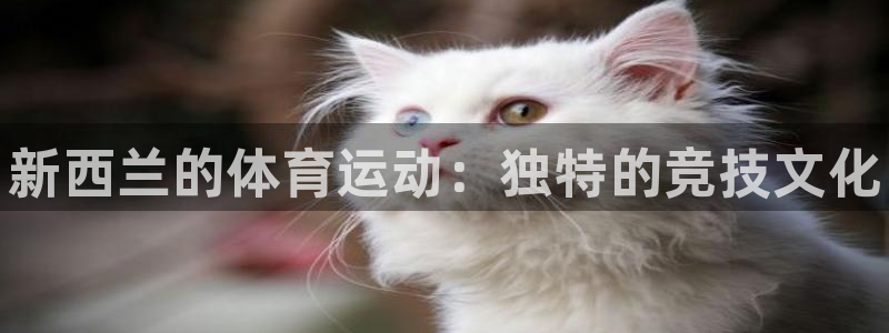 球速体育：新西兰的体育运动：独特的竞技文化