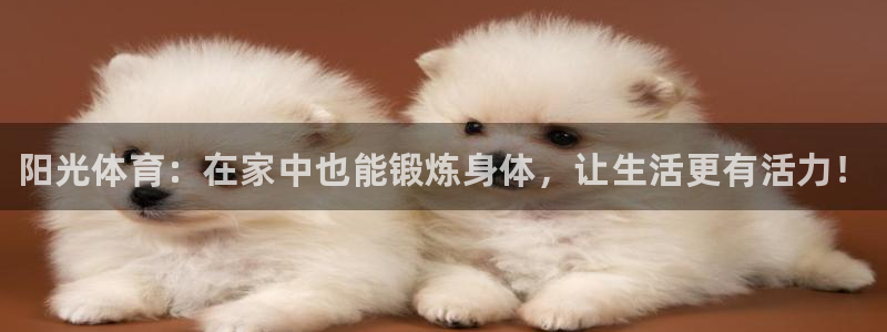 球速体育：阳光体育：在家中也能锻炼身体，让生活更有活力！