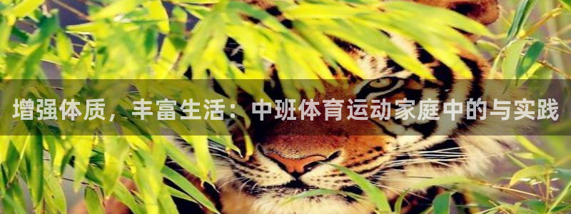 球速体育：增强体质，丰富生活：中班体育运动家庭中的与实践