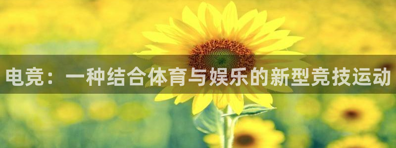 球速体育：电竞：一种结合体育与娱乐的新型竞技运动