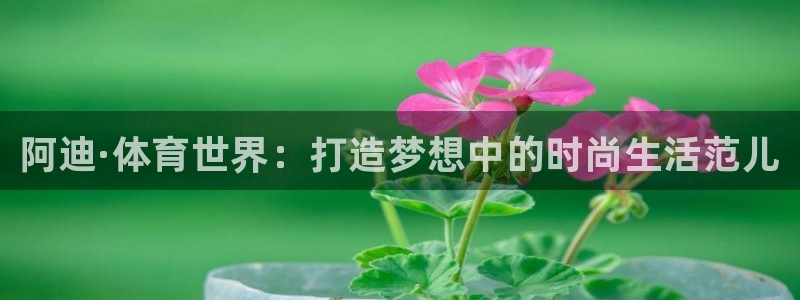 球速体育：阿迪·体育世界：打造梦想中的时尚生活范儿