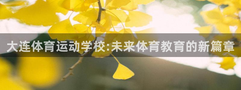 球速体育：大连体育运动学校:未来体育教育的新篇章