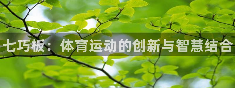 球速体育：七巧板：体育运动的创新与智慧结合