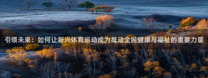 球速体育：引领未来：如何让新兴体育运动成为推动全民健康与福祉的重要力量
