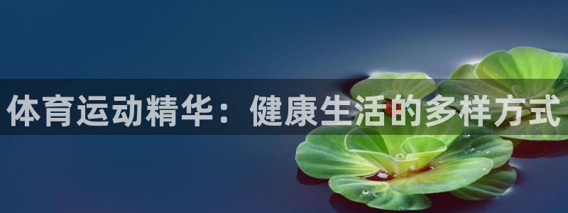 球速体育：体育运动精华：健康生活的多样方式