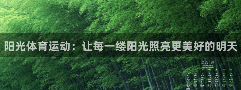 球速体育：阳光体育运动：让每一缕阳光照亮更美好的明天