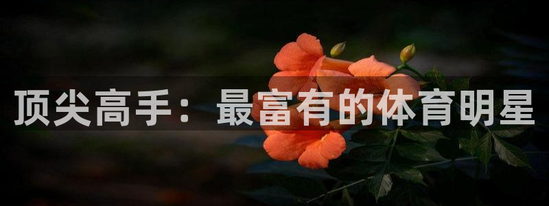 球速体育：顶尖高手：最富有的体育明星