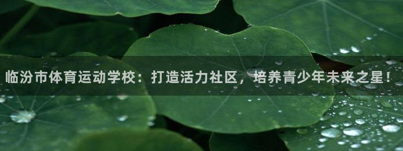球速体育：临汾市体育运动学校：打造活力社区，培养青少年未来之星！