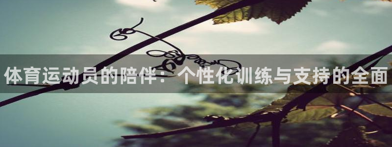 球速体育：体育运动员的陪伴：个性化训练与支持的全面