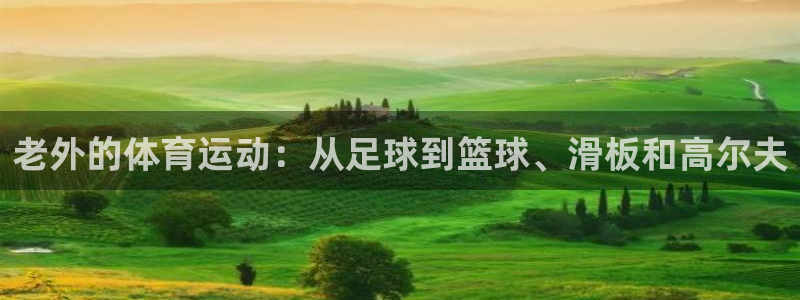 球速体育：老外的体育运动：从足球到篮球、滑板和高尔夫