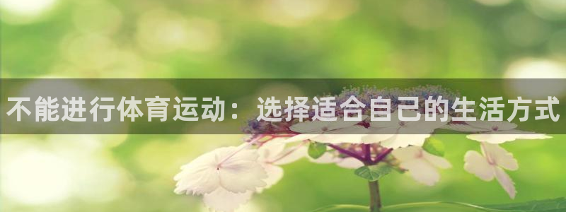 球速体育