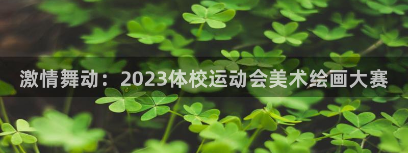 球速体育