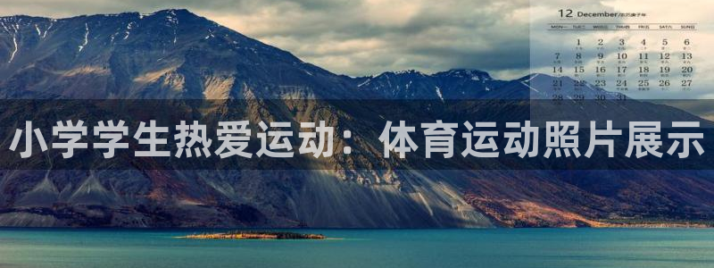 球速体育