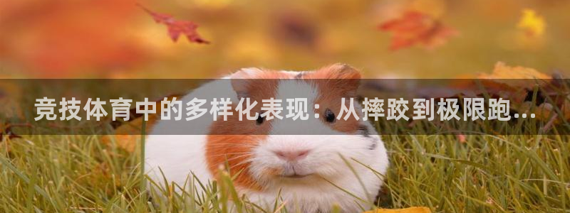 球速体育：竞技体育中的多样化表现：从摔跤到极限跑...