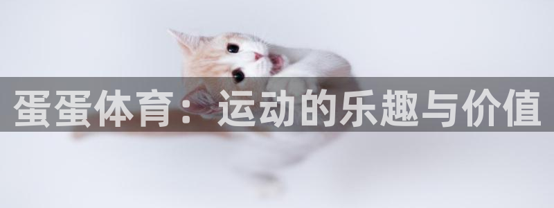 球速体育：蛋蛋体育：运动的乐趣与价值