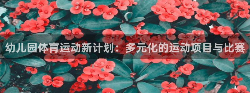 球速体育：幼儿园体育运动新计划：多元化的运动项目与比赛