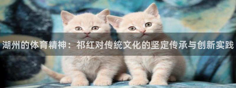 球速体育：湖州的体育精神：祁红对传统文化的坚定传承与创新实践