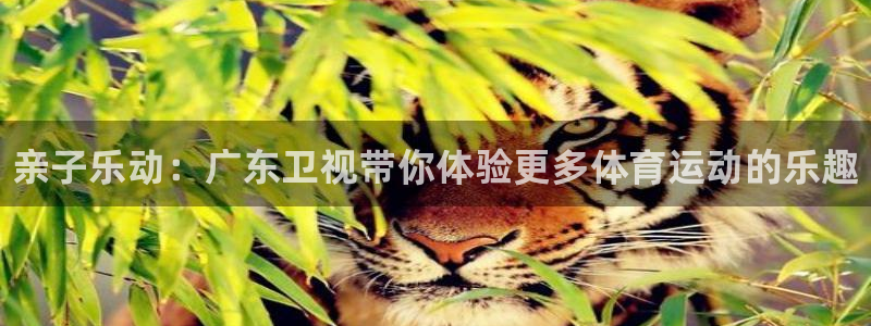 球速体育：亲子乐动：广东卫视带你体验更多体育运动的乐趣