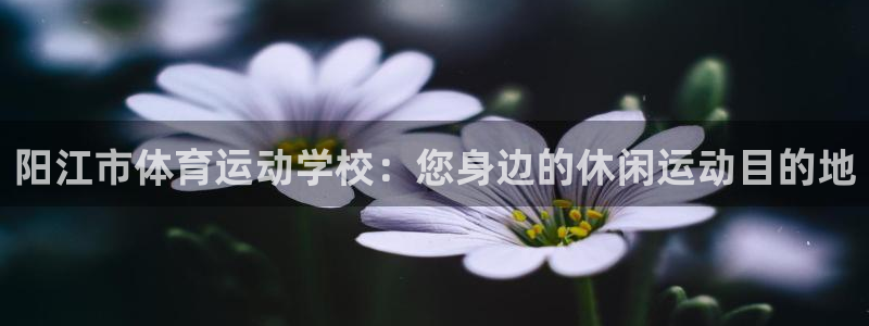 球速体育：阳江市体育运动学校：您身边的休闲运动目的地