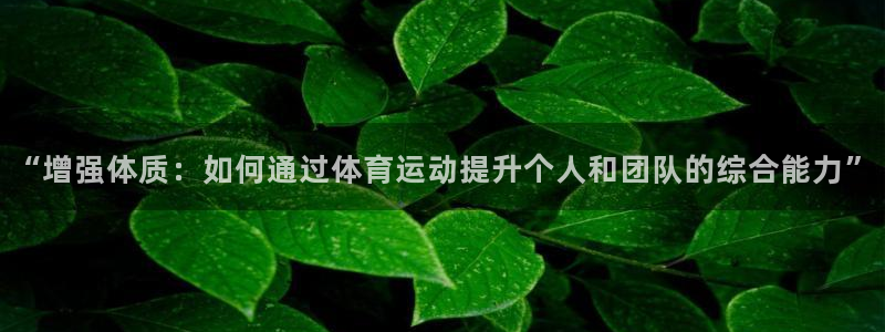 球速体育：“增强体质：如何通过体育运动提升个人和团队的综合能力”