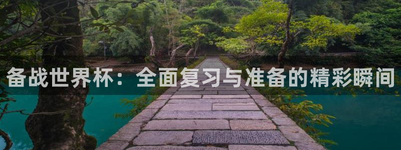 球速体育：备战世界杯：全面复习与准备的精彩瞬间