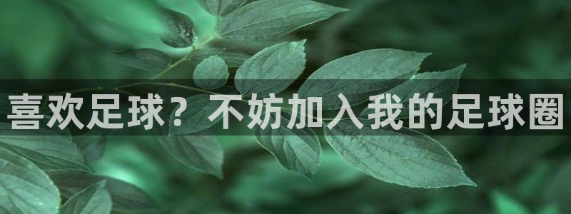 球速体育：喜欢足球？不妨加入我的足球圈