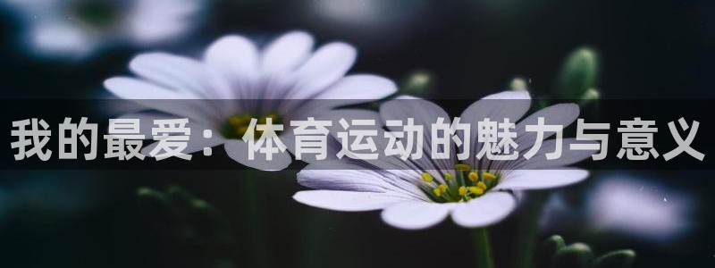 球速体育：我的最爱：体育运动的魅力与意义