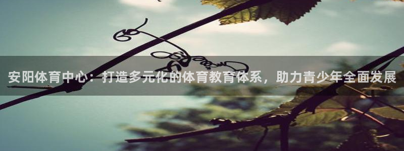 球速体育：安阳体育中心：打造多元化的体育教育体系，助力青少年全面发展
