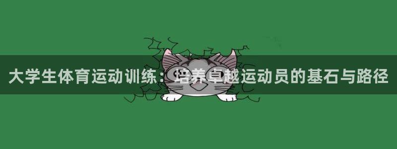 球速体育