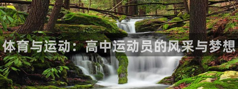 球速体育：体育与运动：高中运动员的风采与梦想