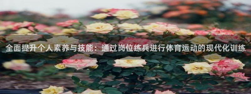 球速体育